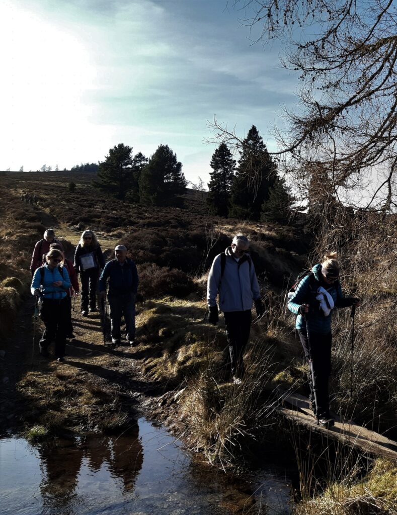 LORD ARTHUR’S HILL – 6TH MARCH 2022